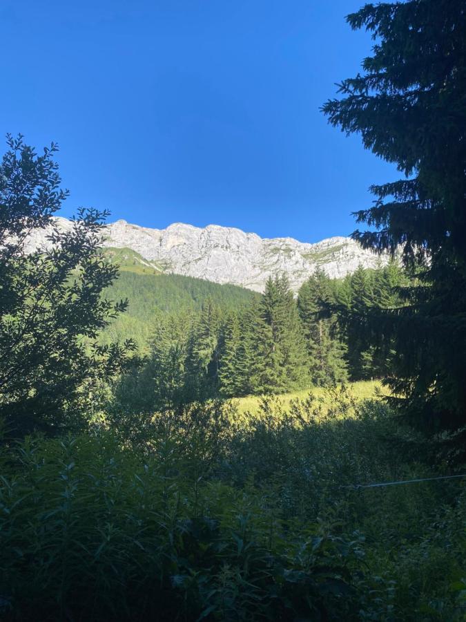 Cretes Du Vercors Vue Magnifique Villard-de-Lans Eksteriør billede